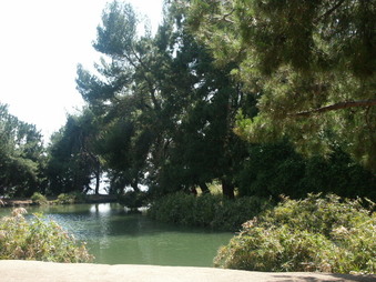 Enlarge photo 54