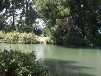 Enlarge photo 7