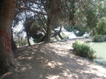 Enlarge photo 65