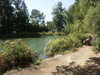 Enlarge photo 67