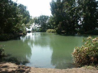 Enlarge photo 68