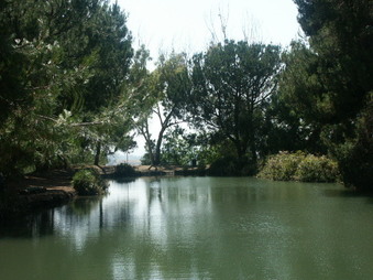 Enlarge photo 69
