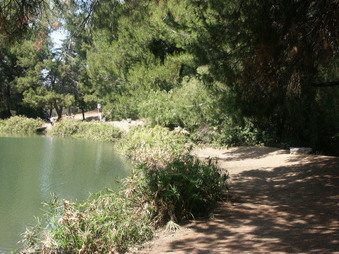 Enlarge photo 9