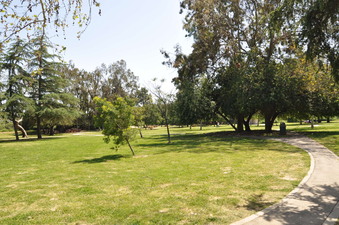 Enlarge photo 2