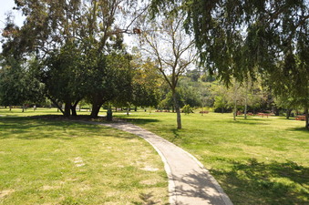 Enlarge photo 3