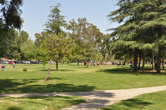 Enlarge photo 8