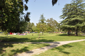 Enlarge photo 9