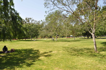 Enlarge photo 10
