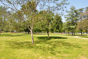 Enlarge photo 11
