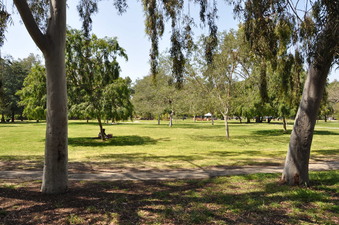 Enlarge photo 12