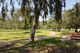 Enlarge photo 13