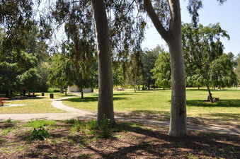 Enlarge photo 14
