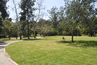 Enlarge photo 19