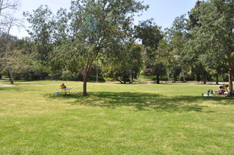 Enlarge photo 20