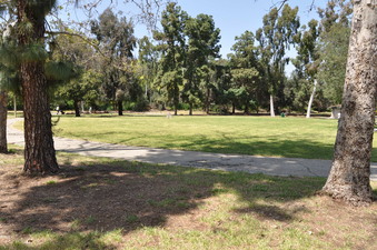 Enlarge photo 21
