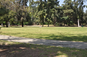 Enlarge photo 22