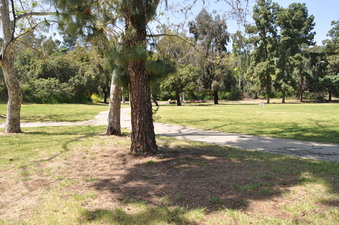 Enlarge photo 23