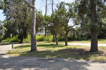 Enlarge photo 24
