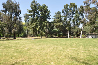 Enlarge photo 25