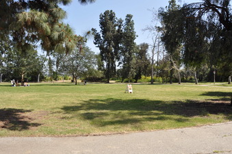 Enlarge photo 26