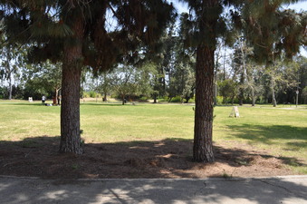 Enlarge photo 27