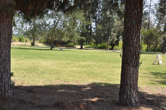 Enlarge photo 28
