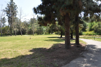Enlarge photo 29