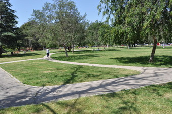 Enlarge photo 30