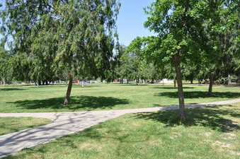 Enlarge photo 31