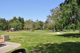Enlarge photo 32