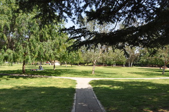 Enlarge photo 33