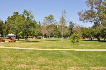 Enlarge photo 34