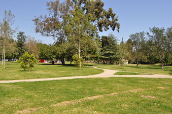 Enlarge photo 35