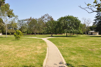 Enlarge photo 36