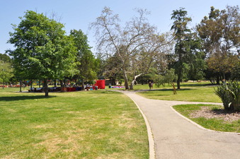 Enlarge photo 37