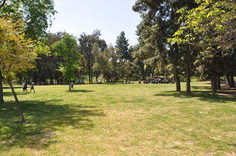 Enlarge photo 38