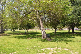 Enlarge photo 5