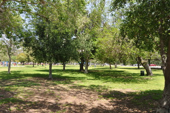 Enlarge photo 6