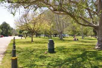 Enlarge photo 11