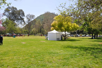 Enlarge photo 14