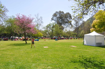 Enlarge photo 16