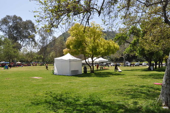 Enlarge photo 17