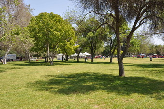 Enlarge photo 18