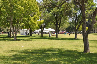 Enlarge photo 19