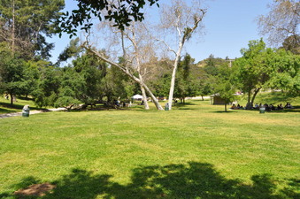GRIFFITH PARK