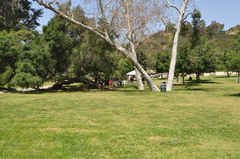 Enlarge photo 3