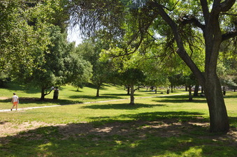 Enlarge photo 7