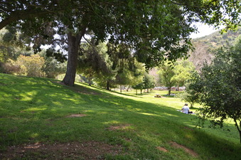 Enlarge photo 11
