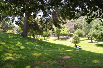 Enlarge photo 12