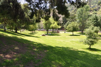 Enlarge photo 13